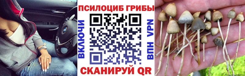 Галлюциногенные грибы MAGIC MUSHROOMS  кракен рабочий сайт  Качканар  хочу наркоту 